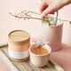 Teministeriet - NOTE Chai Coconut Organic - Herbata 20 Torebek