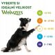 Whimzees Stix M box 100szt.