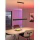 Ceiling LED lamp EGLO Andreas, 2x19W, RGB, 4320lm, black, 117 x 7 x 110 cm