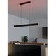 Ceiling LED lamp EGLO Andreas, 2x19W, RGB, 4320lm, black, 117 x 7 x 110 cm