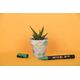 POSCA GIFT METAL TIN, 20 ass. Pop Colours (6xpc1mc - 7xpc3m - 7xpc5m)