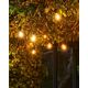 Sirius Home 69500, 10 lamp(s), LED, Outdoor, Black, Transparent, DC, 24 W