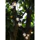 Sirius Home Lucas, 10 lamp(s), LED, Indoor/outdoor, Black, 6 W, 3 m