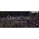 Dworzysk - Duchowe Łąki - Herbata sypana 40g