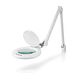 Nedis MAGL3WT Magnifying Table Lamp 3 diopters / 6500 K / 10 W / 660 lm