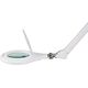 Nedis MAGL3WT Magnifying Table Lamp 3 diopters / 6500 K / 10 W / 660 lm