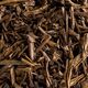 HERBATA MIESIĄCA: Leaf Liturgy - Kojin Hojicha - Herbata sypana 50g