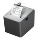 EPSON TM-L100 (103A0): USB