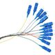 Qoltec Pigtail światłowodowy, 12x SC/APC, SM, G657A2, 2m (54362)