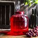MULTIFUNCT. 8L PLASTIC JAR FOR FERMEN.