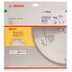 Bosch Tarcza pilarska Expert for Wood 250 x 30mm 22z (2.608.642.502)
