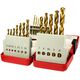 21PCS TITANIUM COATED HSS DRILL BIT SET