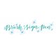Πινέλο Pentel Brush Sign Pen SES15C φλοιός