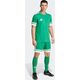 Spodenki męskie adidas Squadra 25 zielone JN7482 2XL