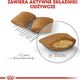 Royal Canin Royal Canin Mini Exigent karma sucha dla psów dorosłych, ras małych, wybrednych 1kg