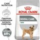 Royal Canin Royal Canin Mini Dental Care karma sucha dla psów dorosłych ras małych do 10 kg higiena zębów 3kg