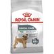 Royal Canin Royal Canin Mini Dental Care karma sucha dla psów dorosłych ras małych do 10 kg higiena zębów 3kg