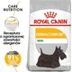 Royal Canin Royal Canin Mini Dermacomfort karma sucha dla psów dorosłych, ras małych o wrażliwej skórze skłonnej do podrażnień 1kg