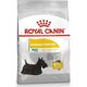 Royal Canin Royal Canin Mini Dermacomfort karma sucha dla psów dorosłych, ras małych o wrażliwej skórze skłonnej do podrażnień 1kg