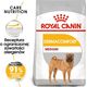 Royal Canin Royal Canin CCN Dermacomfort Medium dla psa 12kg