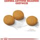 Royal Canin Royal Canin CCN Dermacomfort Medium dla psa 12kg