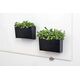 Legamaster glassboard accessory holder black, Board pen tray, Plastic, 250 g, 92 mm, 160 mm, 106 mm