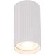 TK Lighting Tune 10023 πλαφονιέρα λάμπα οροφής σποτ 1x10W GU10 λευκό