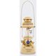 Lampa Naftowa Ciśnieniowa Petromax HK500 Brass
