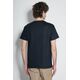 Koszulka Ben Davis Classic Logo Black