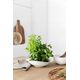 Villeroy & Boch Vapiano trio bowl set, 6 pieces, white