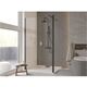 ECO-N BLACK ΚΑΜΠΙΝΑ WALK IN 120x195 ΠΕΡΑΣΜΑ