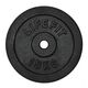 STANDARD CAST PLATE LIFEFIT 15KG 30MM