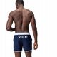 Ανδρικά Σορτς LOGO VOLLEY 16"