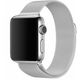 Λουράκι Wave από πλεγμένο ατσάλι, Apple Watch 38 / 40 / 41 / 42 mm, ασημί