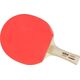 Atemi Zestaw do Ping Ponga Hobby