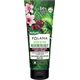 Herbapol HERBAPOL Polana Regenerujący Krem do rąk - Gorzka Wiśnia & Sosna Zwyczajna & Masło Shea 75ml