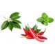 Κρέμα Capsicolle με φυσική καψαϊκίνη 50g, EAN 8594069332803