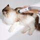 MovaVACUUM CLEANER PET GROOMING/KIT MOVA G1 PRO  PHC10A DREAME