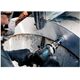 Πριόνι τρύπας BOSCH SM B 65mm