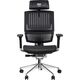 Fotel Thermaltake eSports CyberChair E500 Black (GGC-EG5-BBLFDM-01)