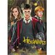 Dodo Puzzle "Harry Potter I Przyjaciele" 250 Elementów Układanka Zestaw Hogwart