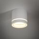 TK Lighting Jet 4334 plafon lampa sufitowa spot 1x10W GX53 biały