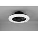 Wentylator Trio RL Wentylator sufitowy z lampą LED STRALSUND R62522132 czarny