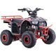 Pojazd Quad Spalinowy 110CC EXPLORER Czerwony EDUKAMP