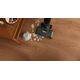 Odkurzacz FreeGo Wash&Vacuum Spray Cecotec