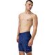 Męskie Szorty Print Brdshrt 18"  fiery red/white/french blue rozmiar 34