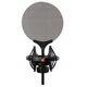 sE Isolation Pack - Uchwyt elastyczny i pop-filtr