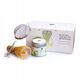Paper & Tea - Matcha Absolute Beginner Set - Σετ απόλυτου αρχάριου