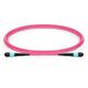 Lanview LVO230403-MTP καλώδιο InfiniBand / οπτική ίνα 3 m Μωβ