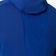 Ανδρική μπλούζα Salewa Pedroc PL Hooded Jacket - electric